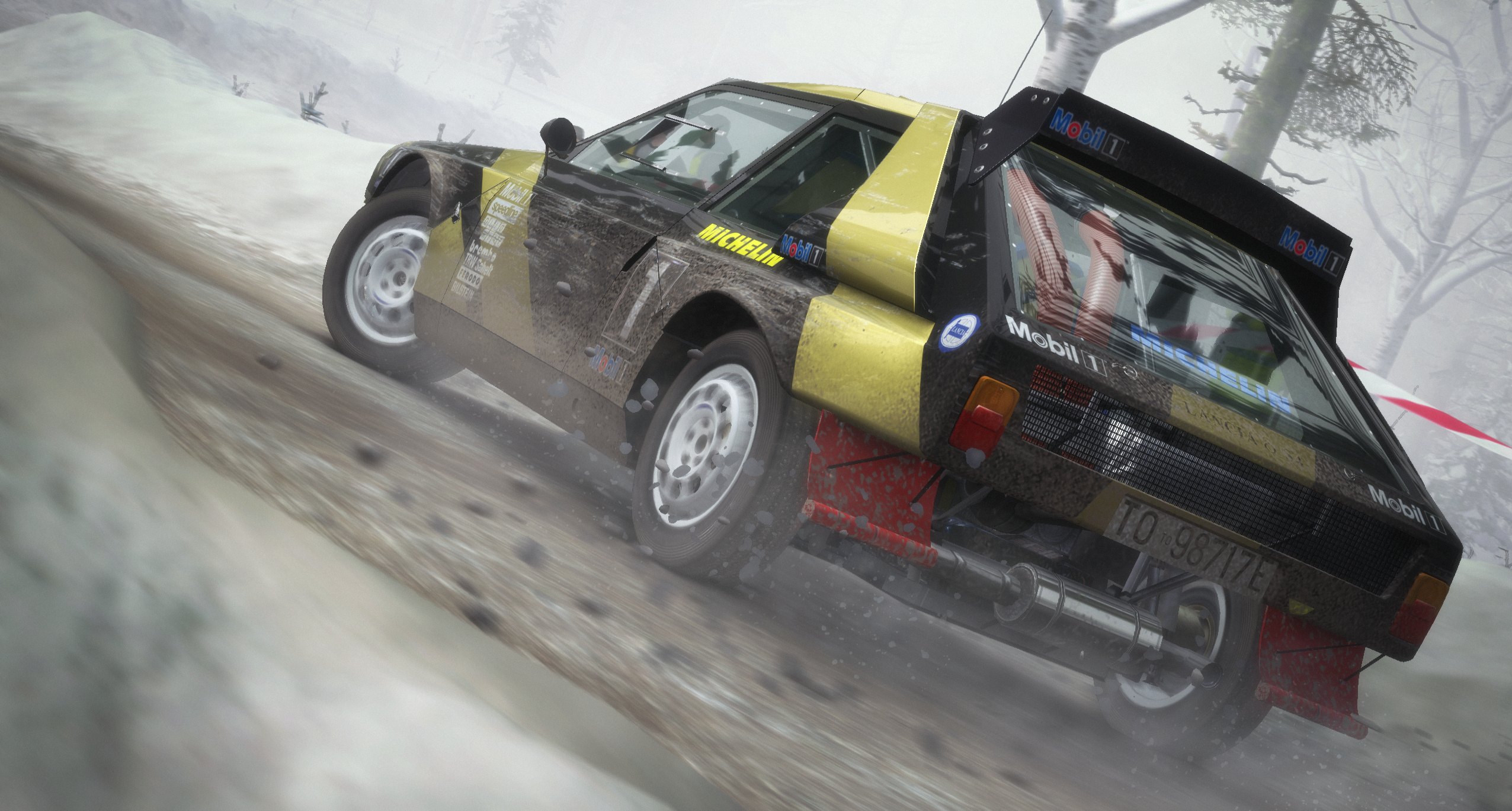 DiRT Rally - Imagen 23